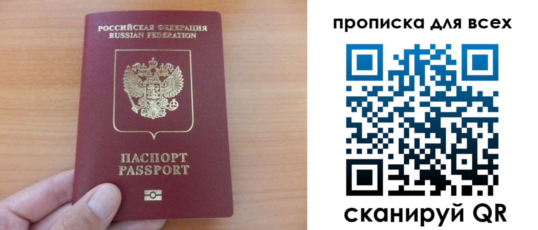 прописка поиск в Раменском